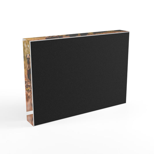 Photo Block - Personalized Pet Photo Acrylic Display