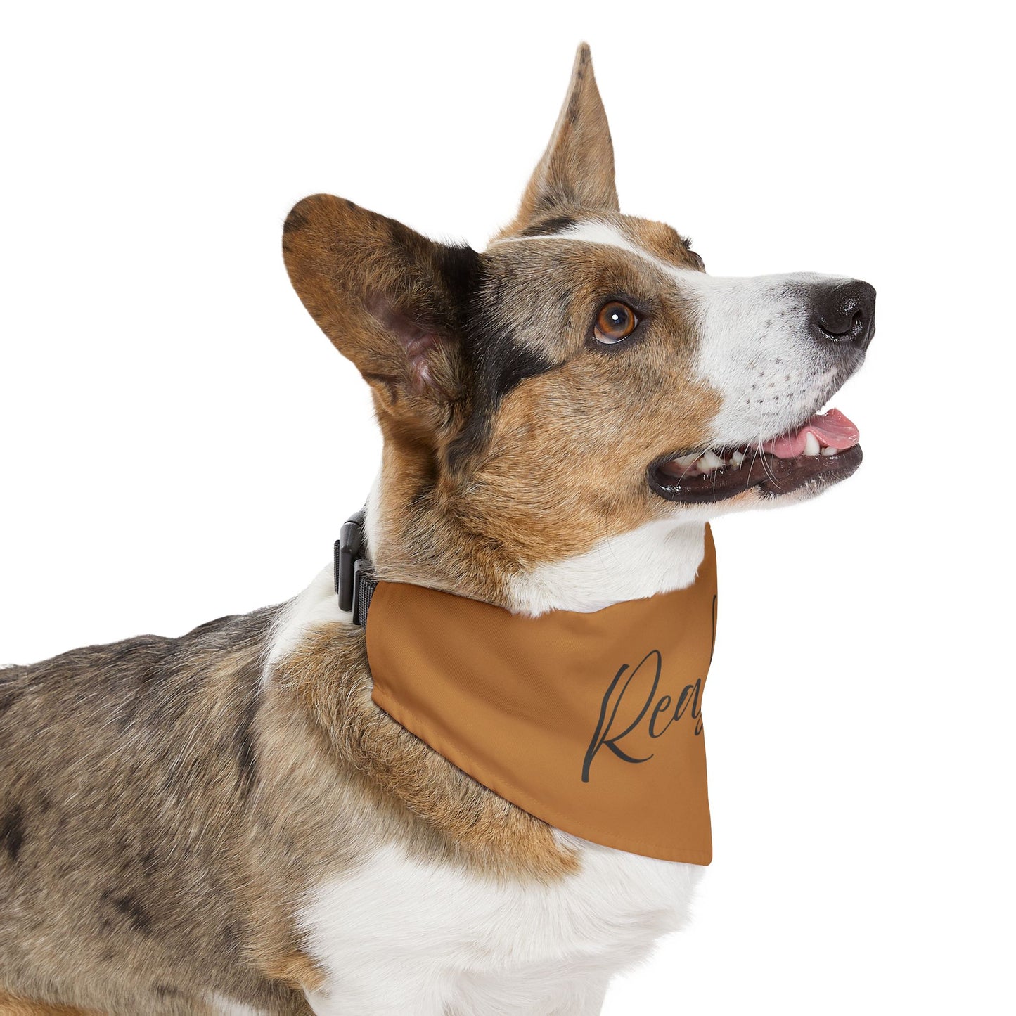 Real Boss Dog Bandanna – Stylish, Durable & Perfect for Confident Dogs