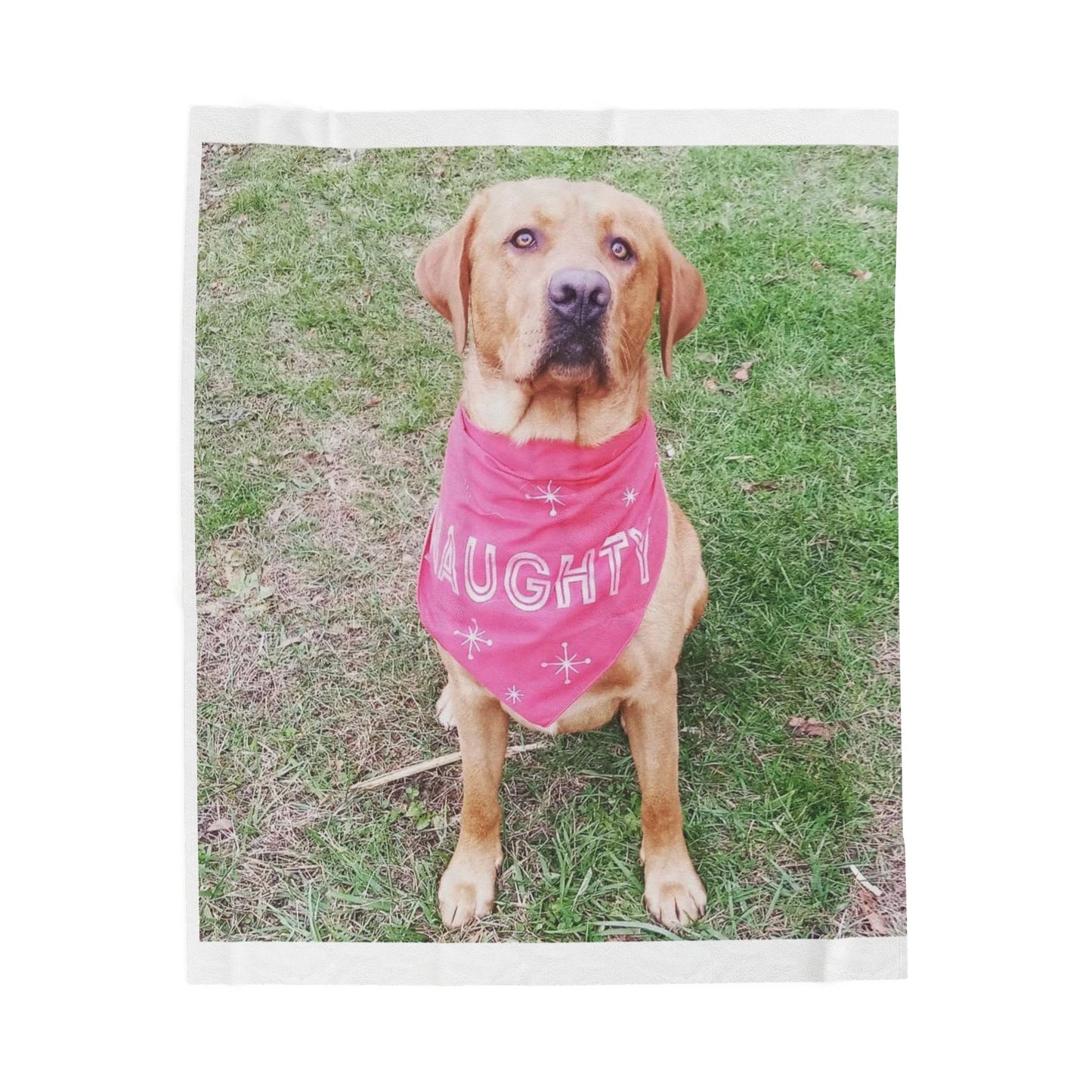 “Because Family Belongs in Every Stitch”-Personalized blanket