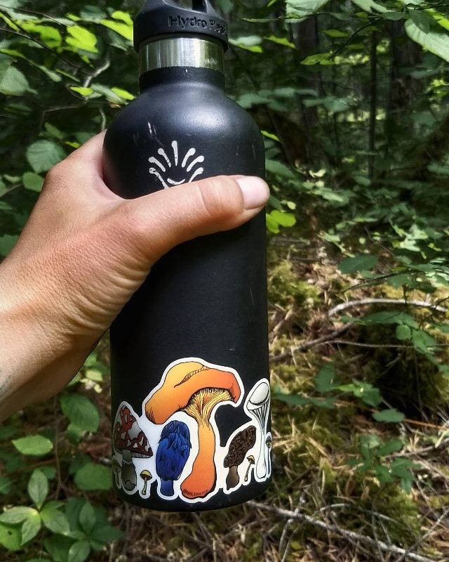 Mushrooms in color 3” & 4” stickers