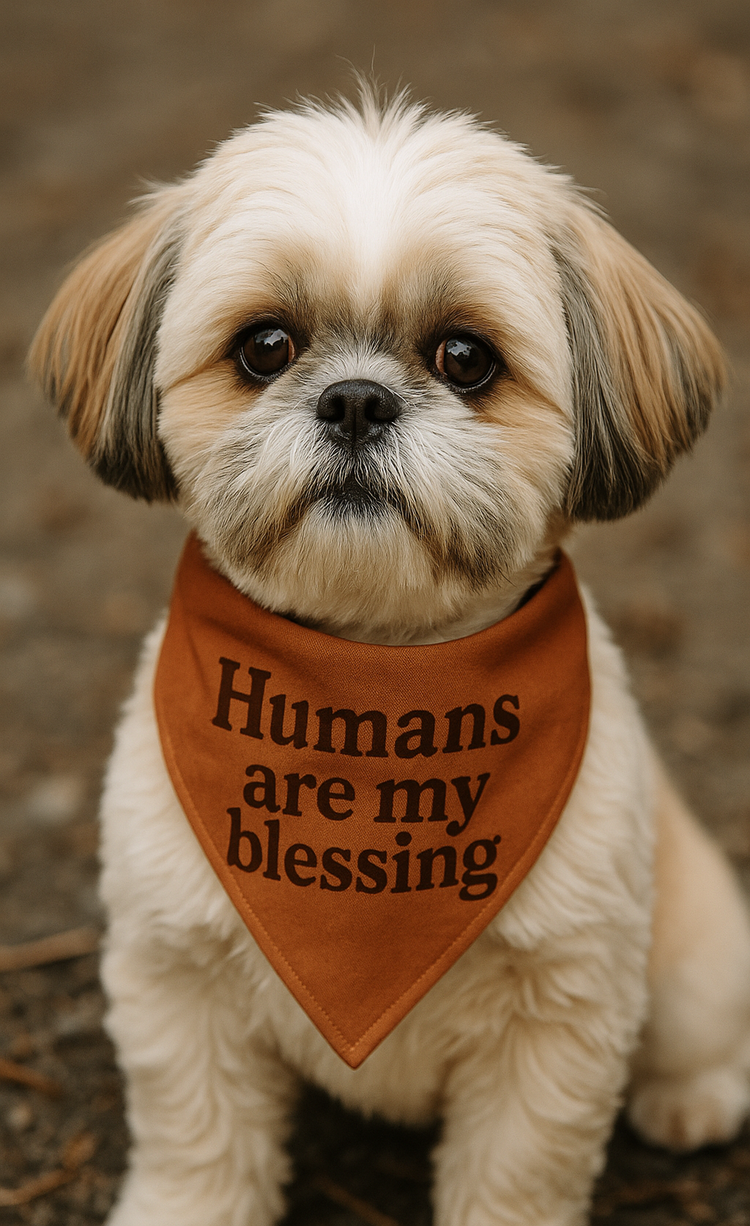 Faith and Fur Collection