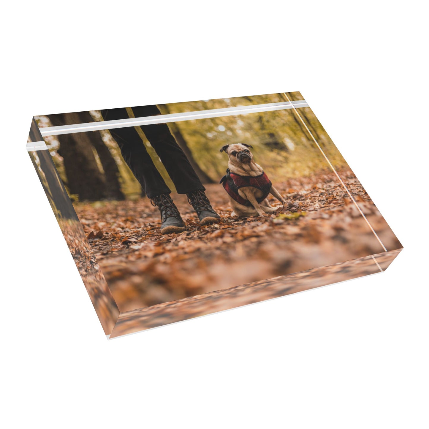 Pug Photo Photo Block