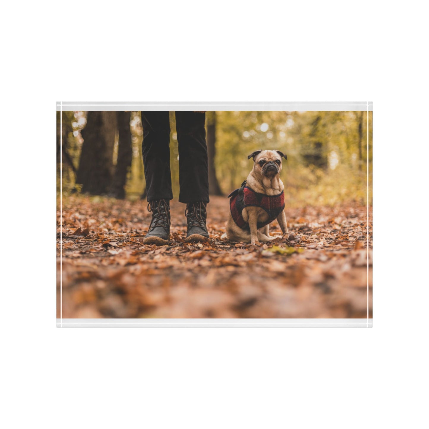 Pug Photo Photo Block