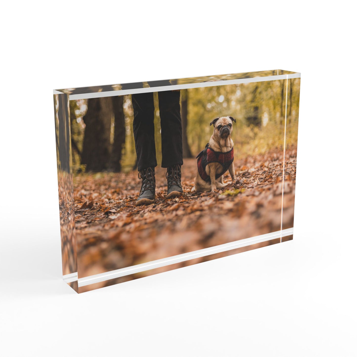 Photo Block - Personalized Pet Photo Acrylic Display