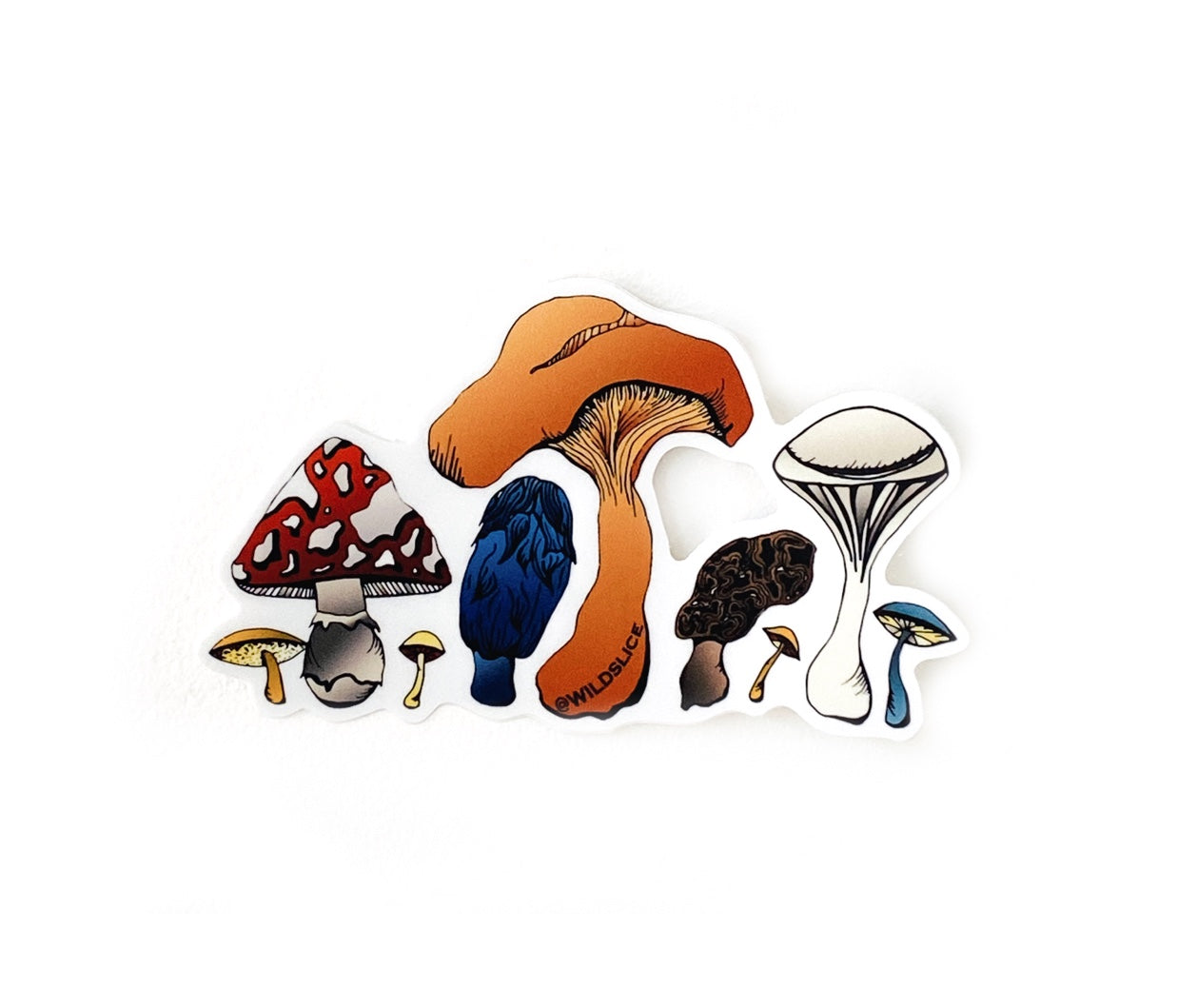 Mushrooms in color 3” & 4” stickers