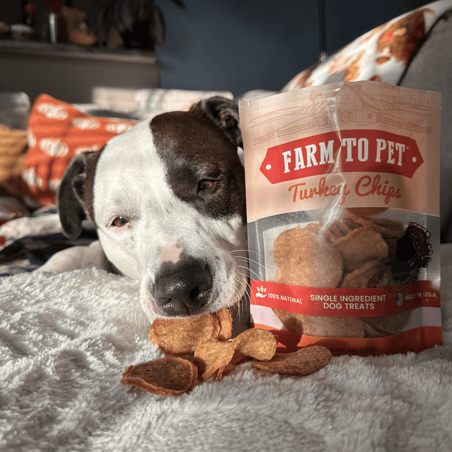 Turkey Chips for Dogs | All-Natural Single-Ingredient Healthy Dog Treats