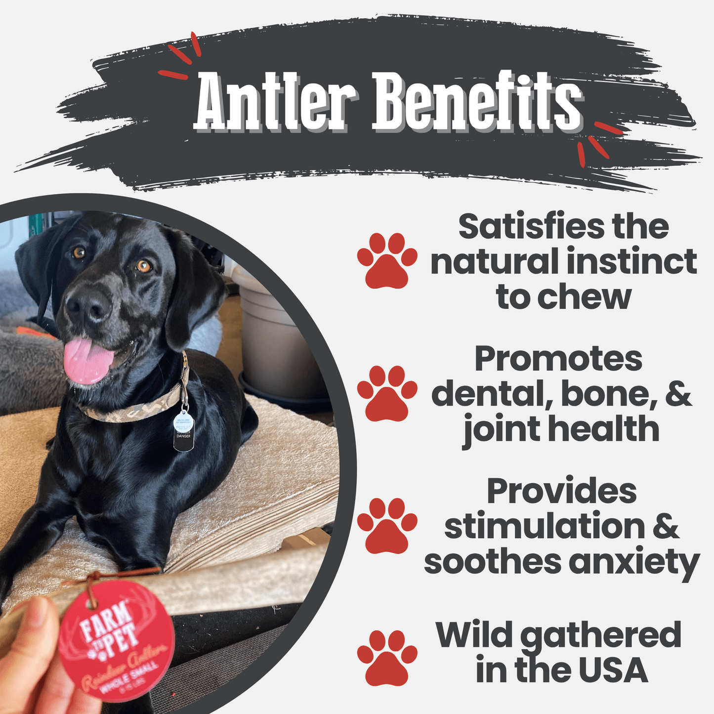 Reindeer Antler Dog Chews | Organic Chews for Dogs