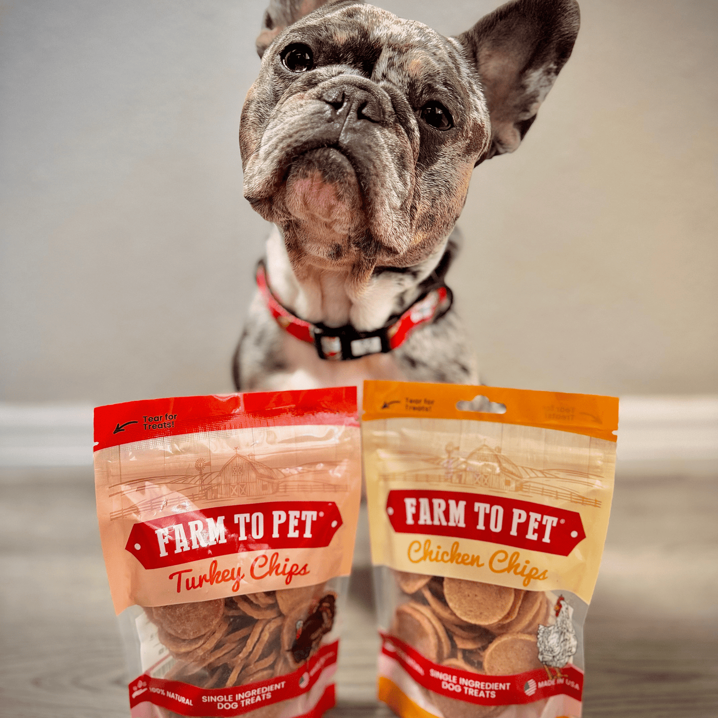 Turkey & Chicken Chip Dog Treat Duo | Single-Ingredient Poultry Treats for Dogs