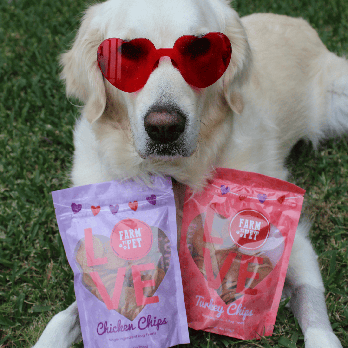 Puppy Love Dog Treat Duo | Poultry Chip Variety Pack