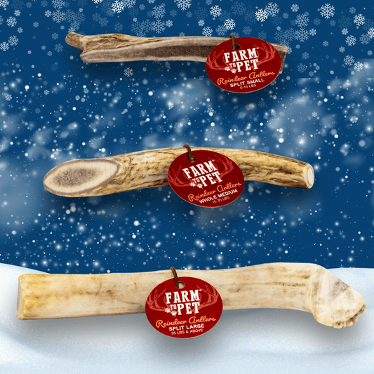 Reindeer Antler Dog Chews | Organic Chews for Dogs
