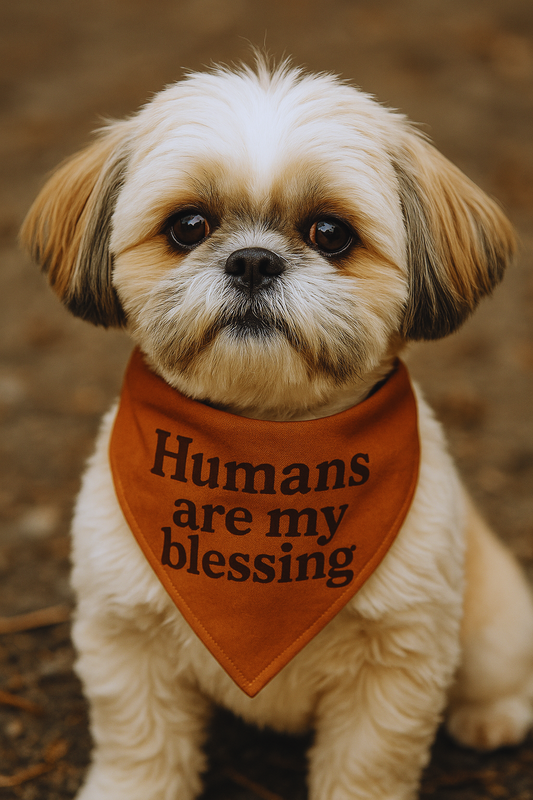 Customized Dog Bandana